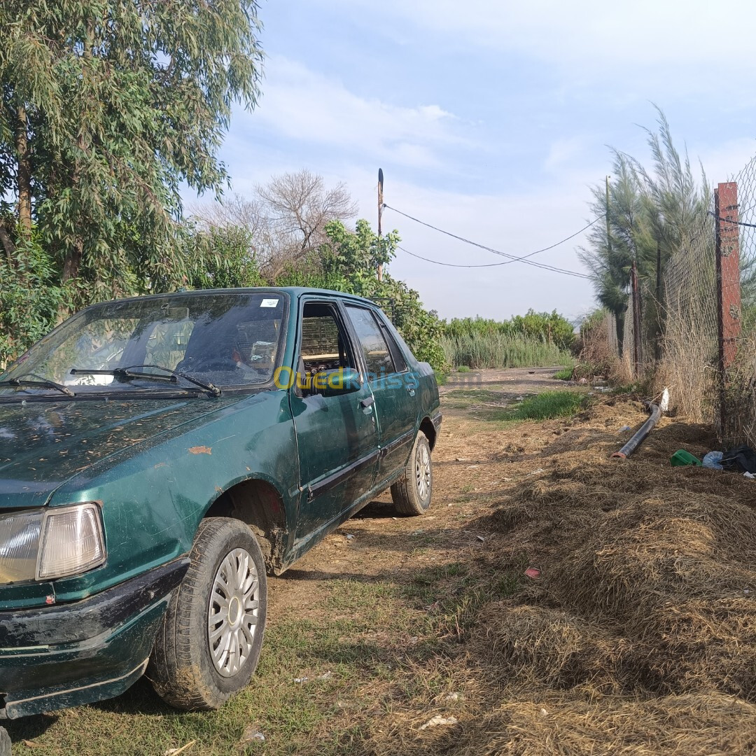 Peugeot 309 1987 309