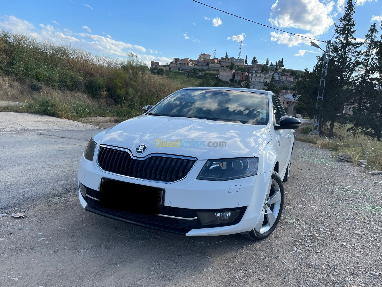 Skoda Octavia 2014 Elegance