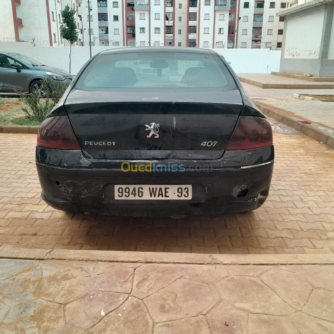 Peugeot 407 2008 407