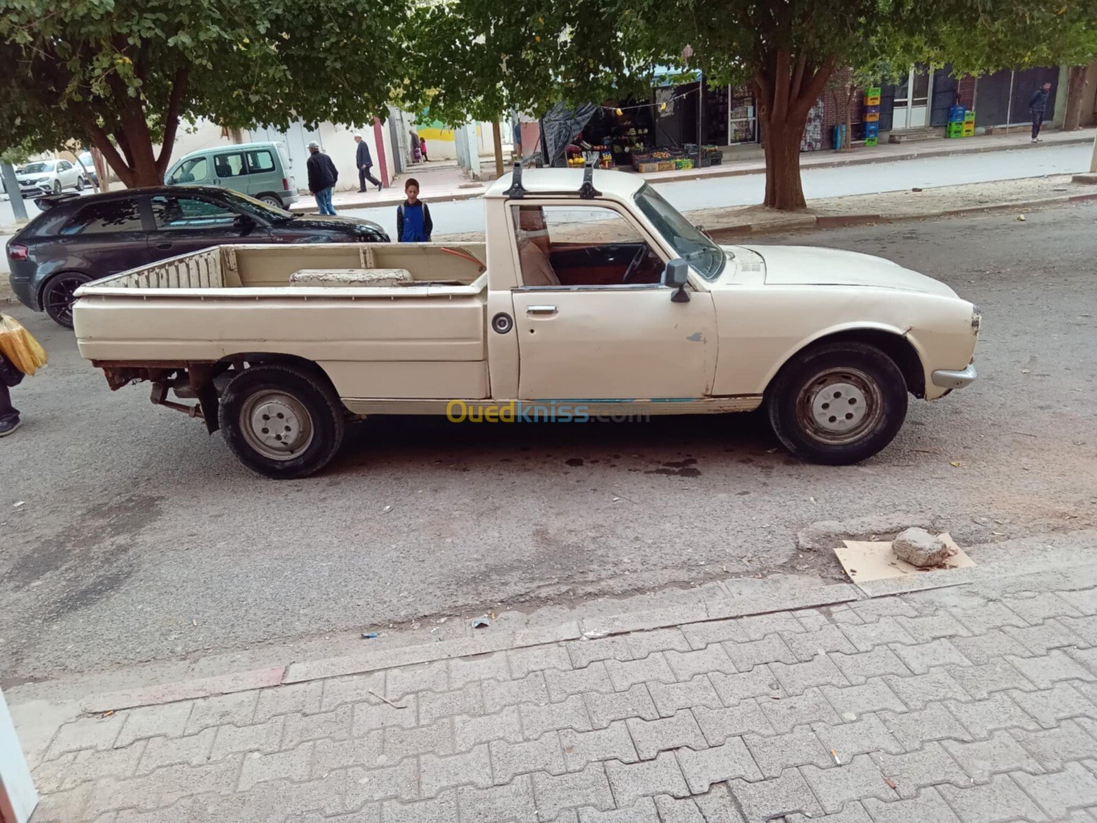 Peugeot 505 1979 505