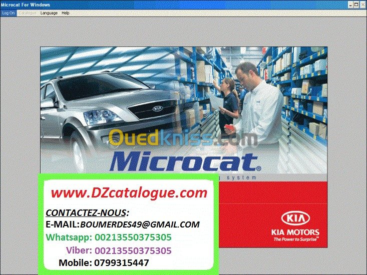 Microcat KIA 2021 online