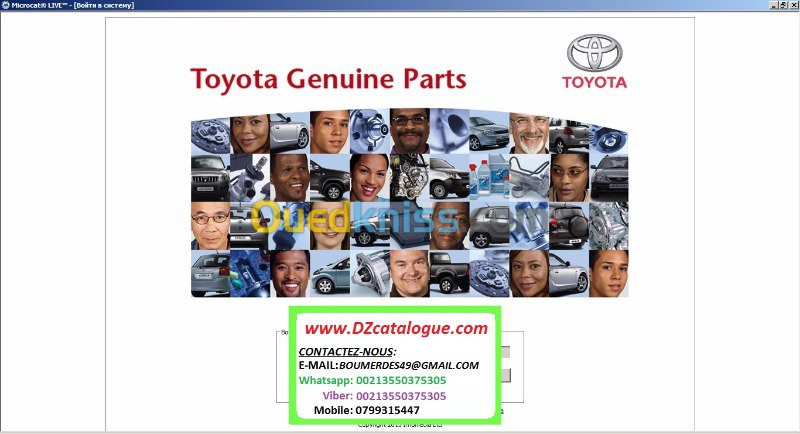 Microcat TOYOTA online