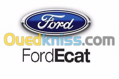 ford ECAt online