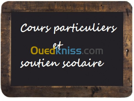 Cours particuliers de français