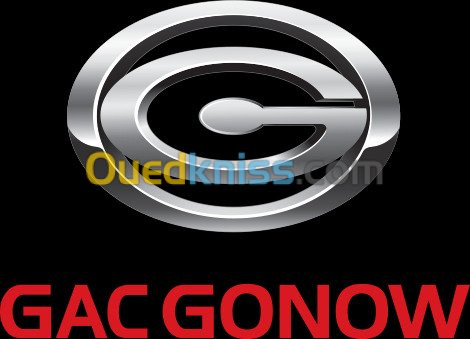 SEGMENT MOTEUR GONOW ESSENCE