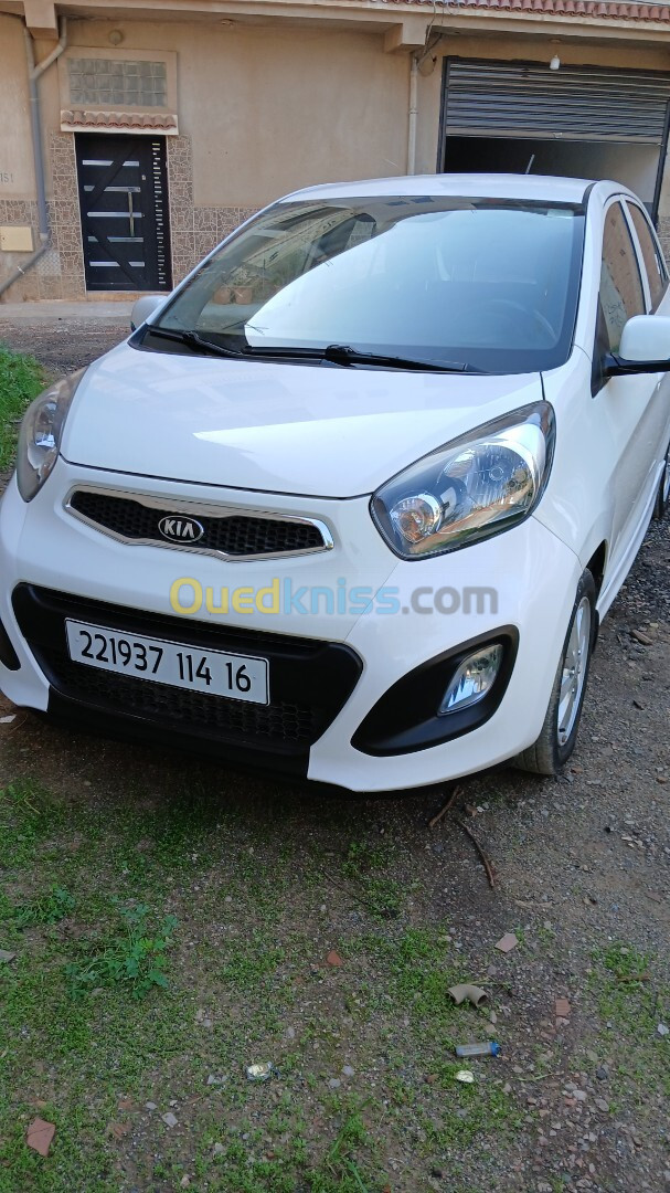 Kia Picanto 2014 Funny