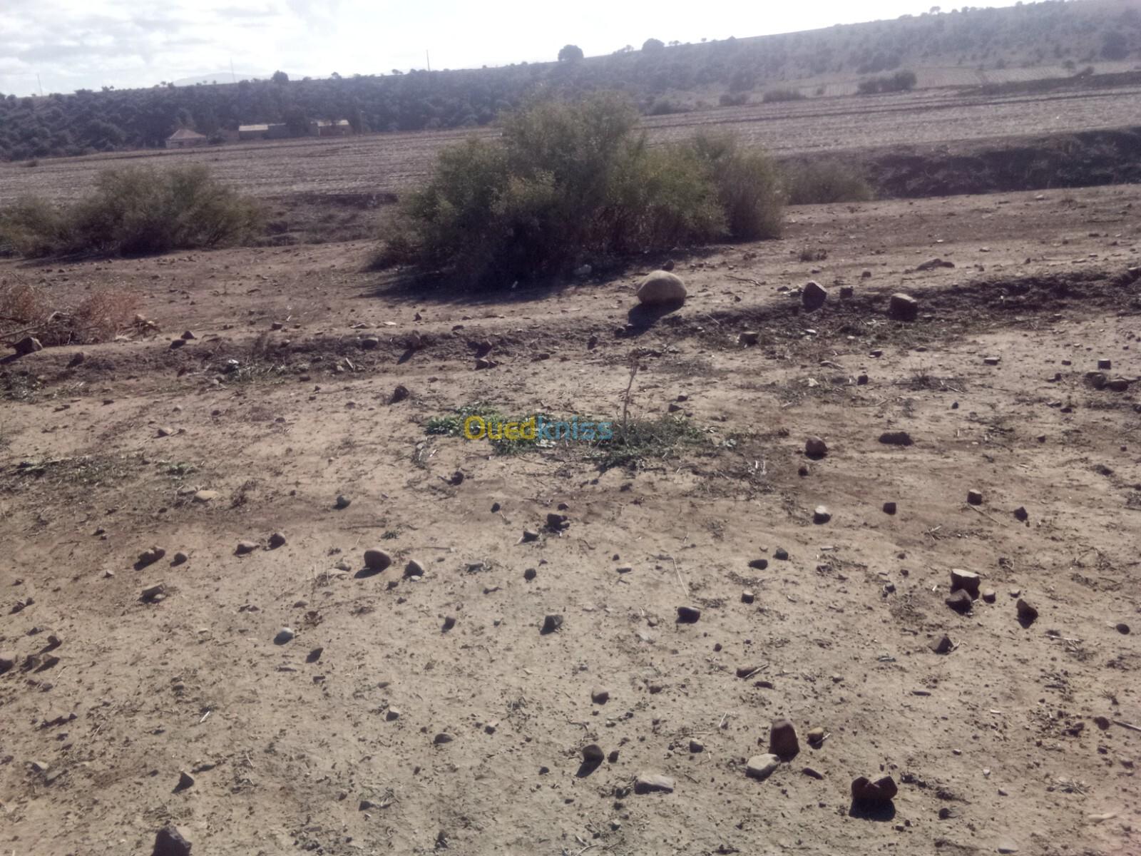 Vente Terrain Médéa Beni slimane