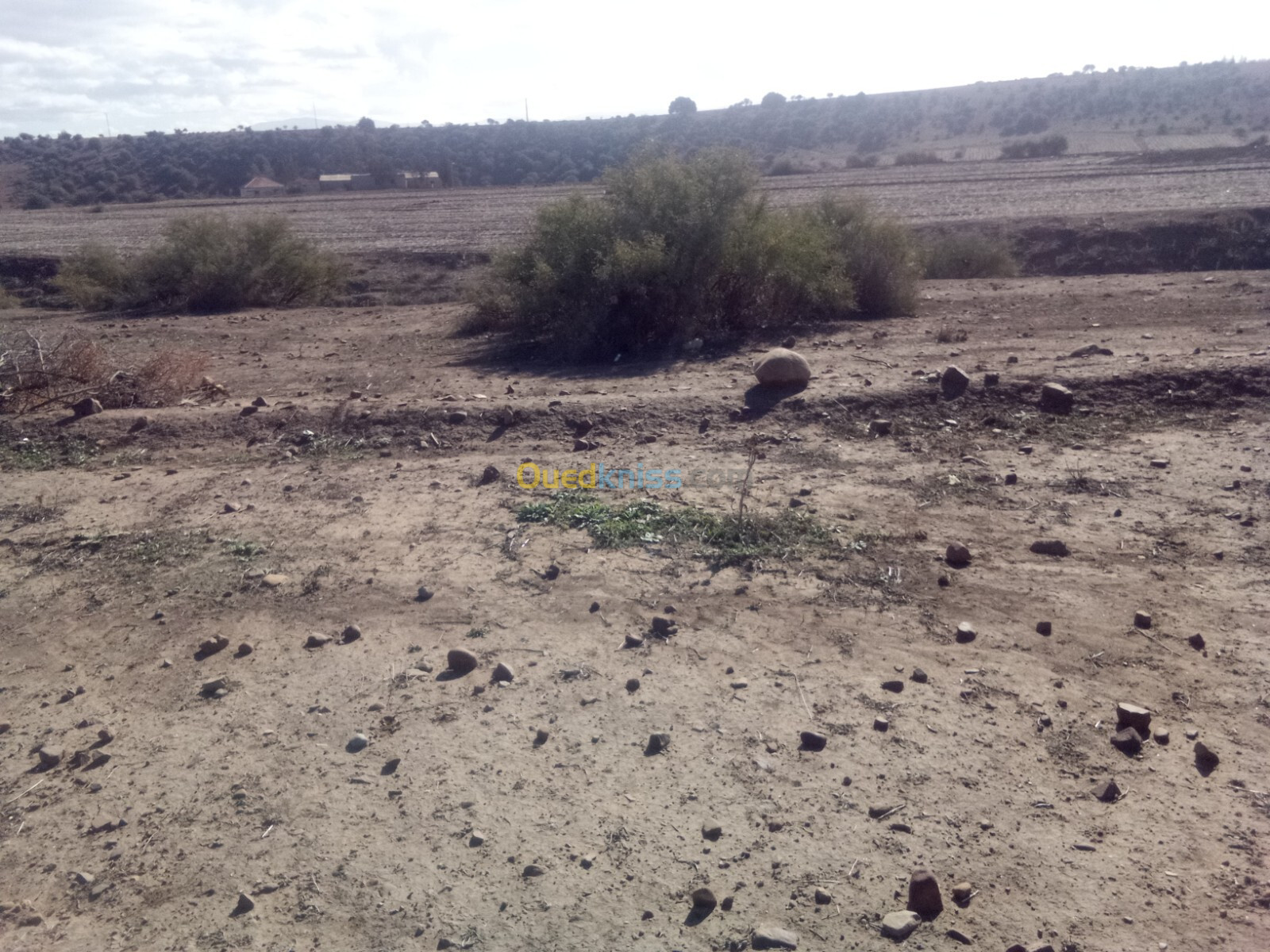 Vente Terrain Médéa Beni slimane