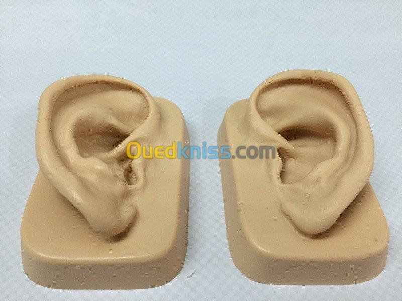 Modèle d'oreille réaliste en silicone