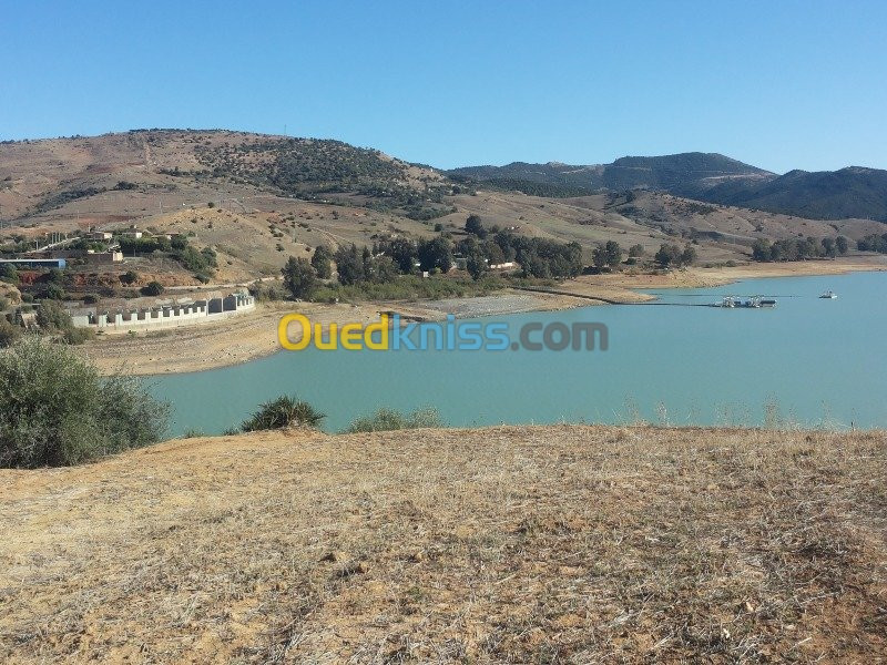 Vente Terrain Ain defla Oued chorfa