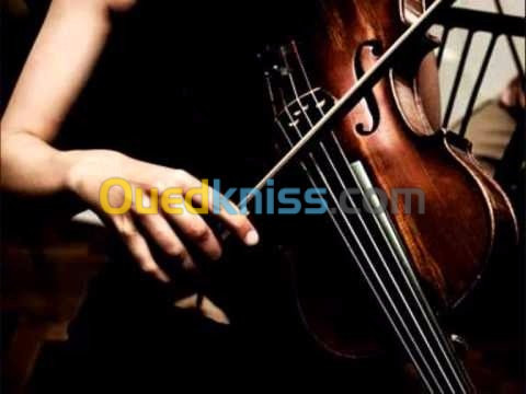 cours de violon. et solfège 