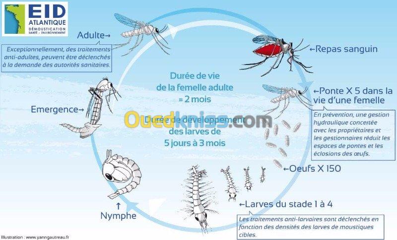 anti moustique 