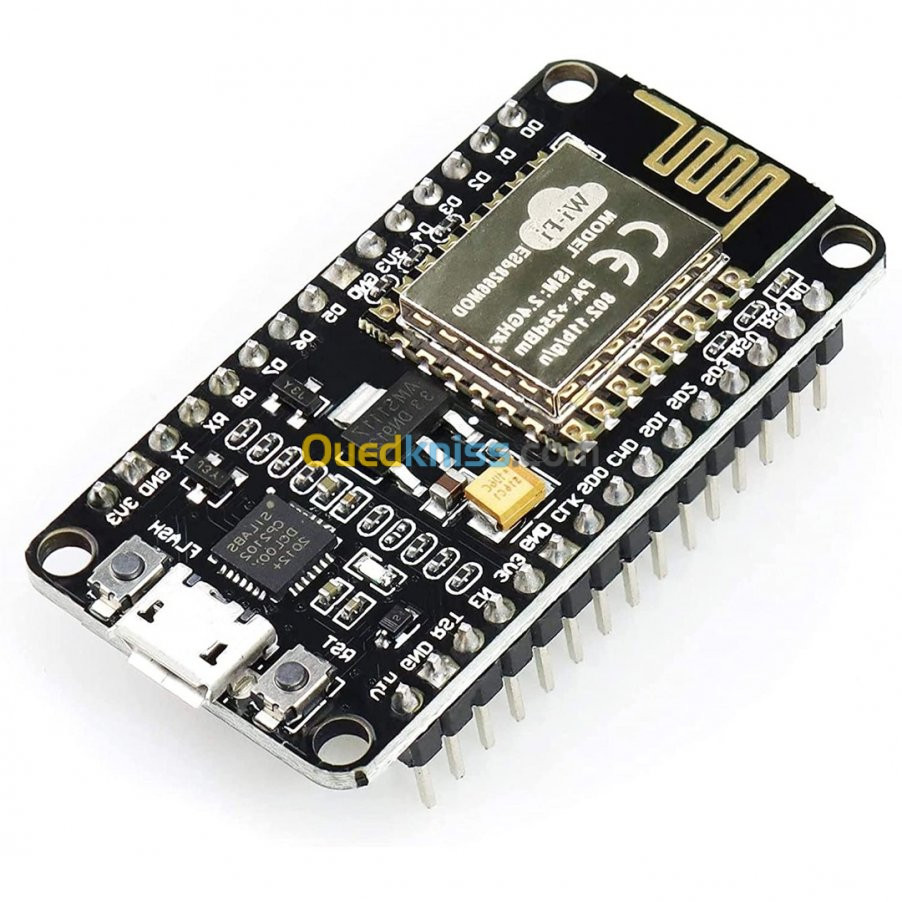 Arduino - NodeMCU /ESP32 38pin & 30pin / ESP01 / Programmateur 