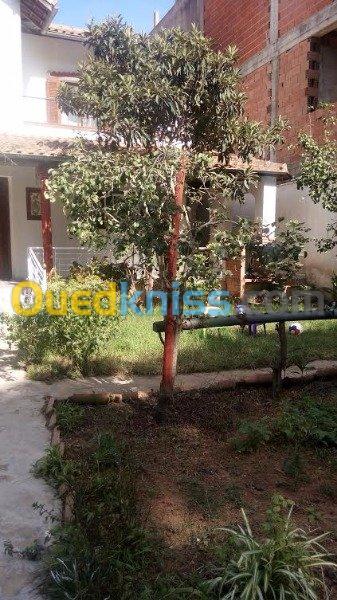 Vente Villa Alger Birkhadem