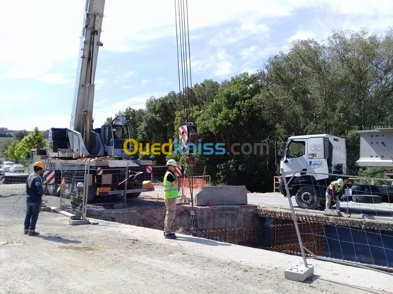 Location grue mobile