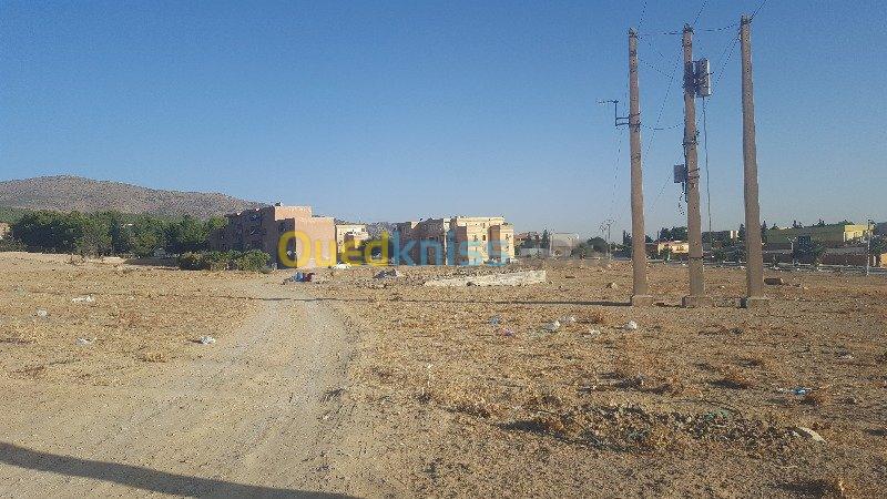 Vente Terrain Batna Seriana