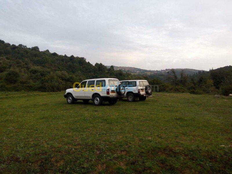 Location des 4x4 patrol, Land cruiser 