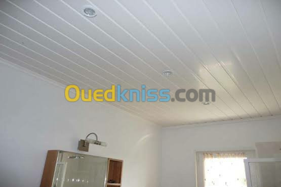 faux plafond pvc 