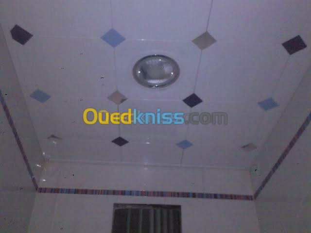 faux plafond pvc 