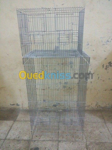 Fabrication de cages à oiseaux