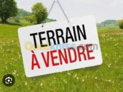 Vente Terrain Alger Birtouta