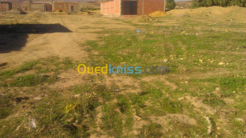 Vente Terrain Chlef Ouled fares