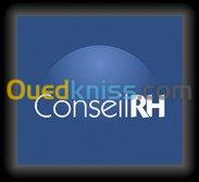 Conseil & Accompagnement RH