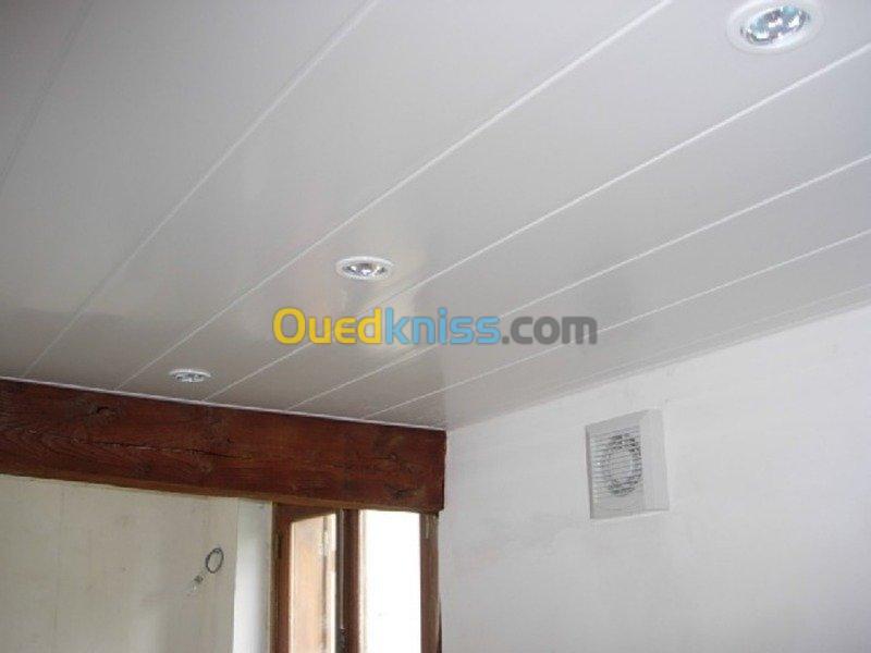 placo-platre (faux plafond) et en pvc 