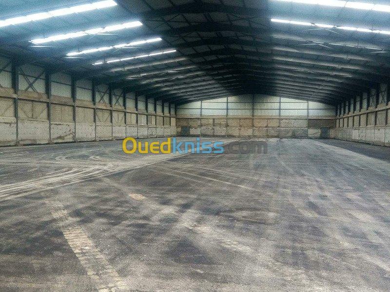 Location Hangar Jijel Taher