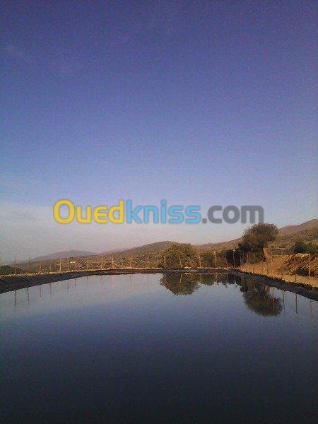 geomembrane