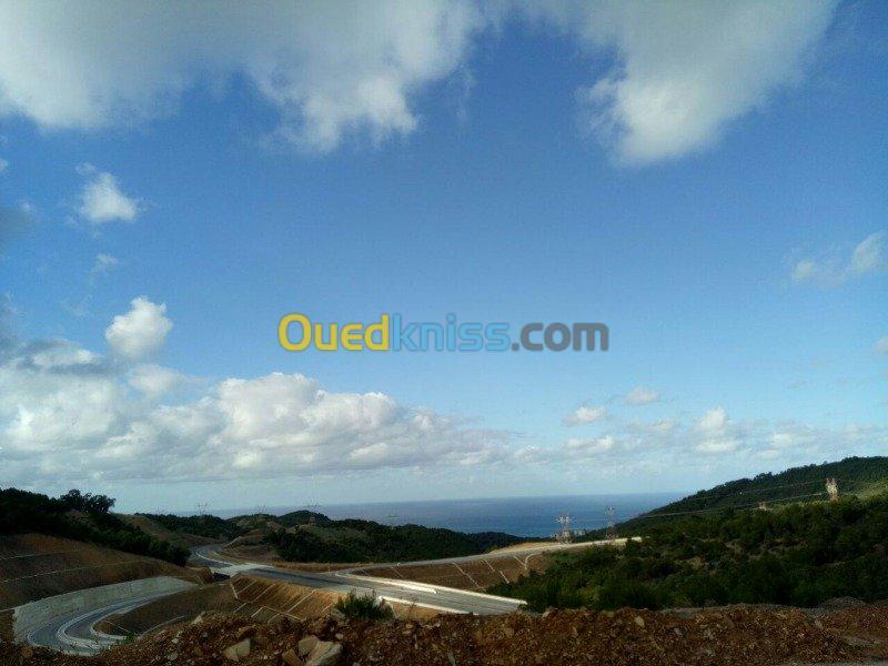 Vente Terrain Agricole Tipaza Cherchell