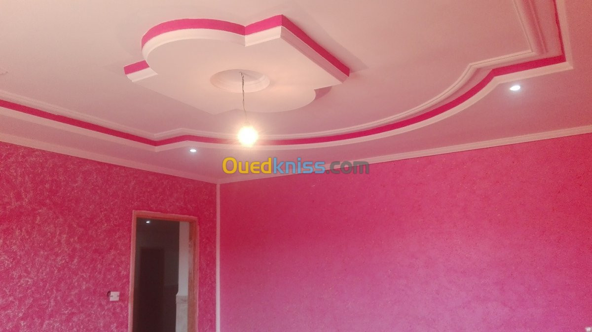 Peinture décorative professionnelle 