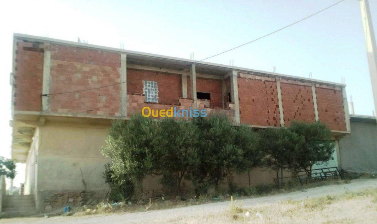 Vente Appartement F6 Tiaret Bougara