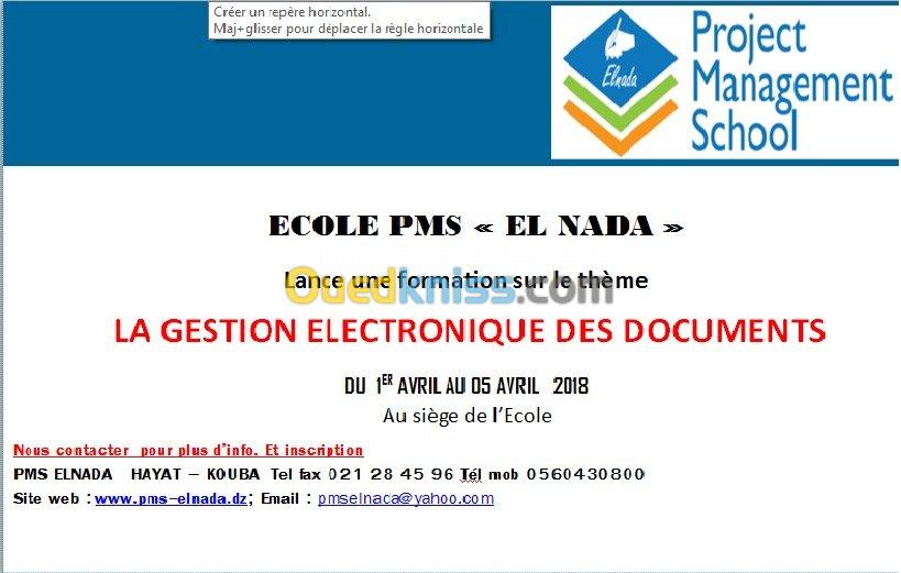 Ecole de formationMsprojet management 