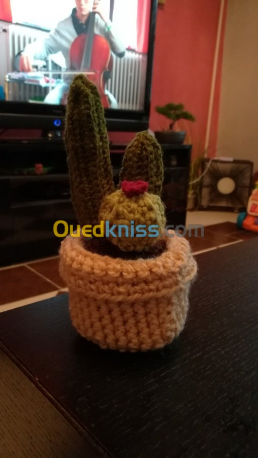 Cactus en crochet