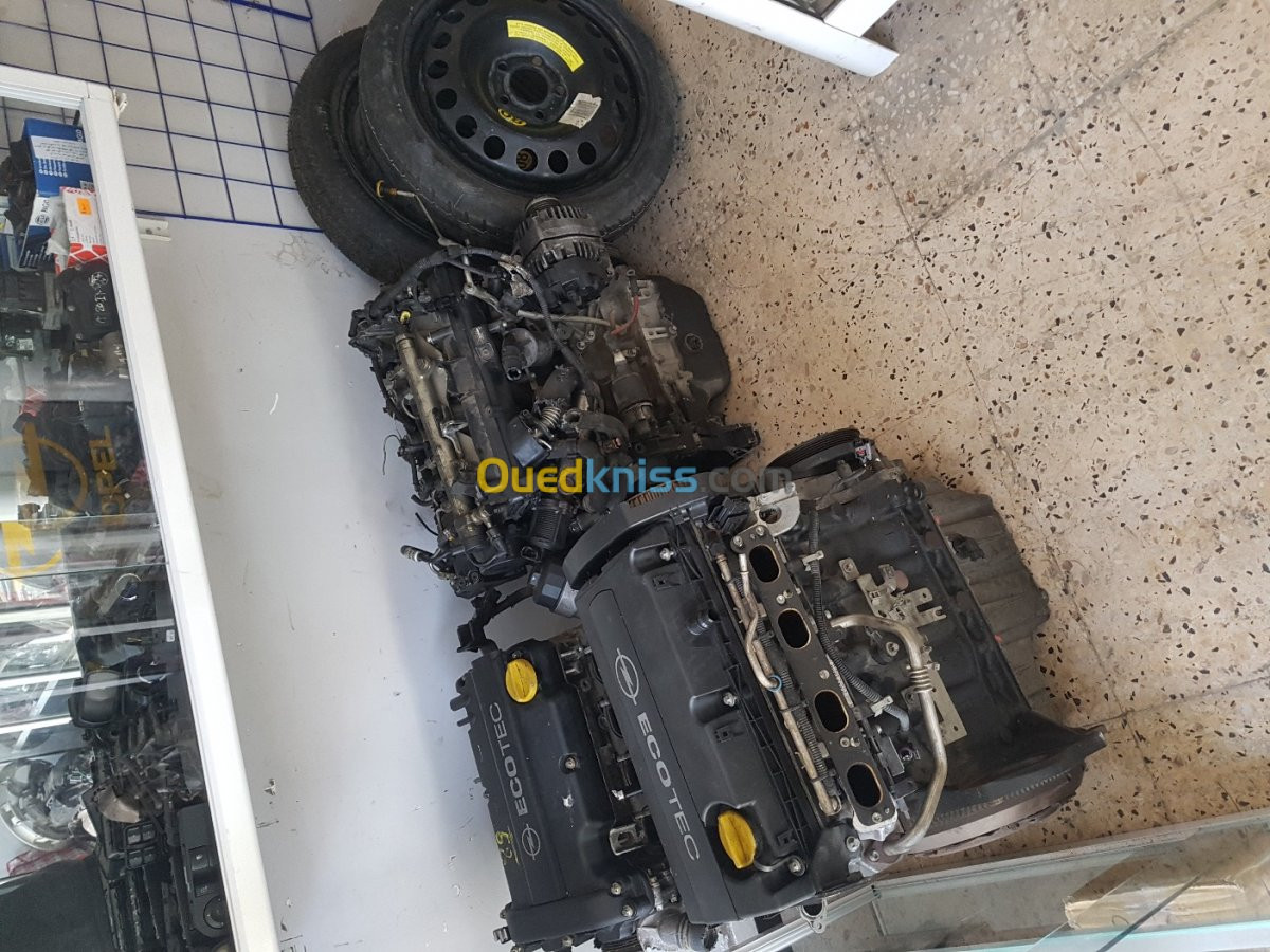 Accessoires et pièces détachées Opel, protection anti martre 