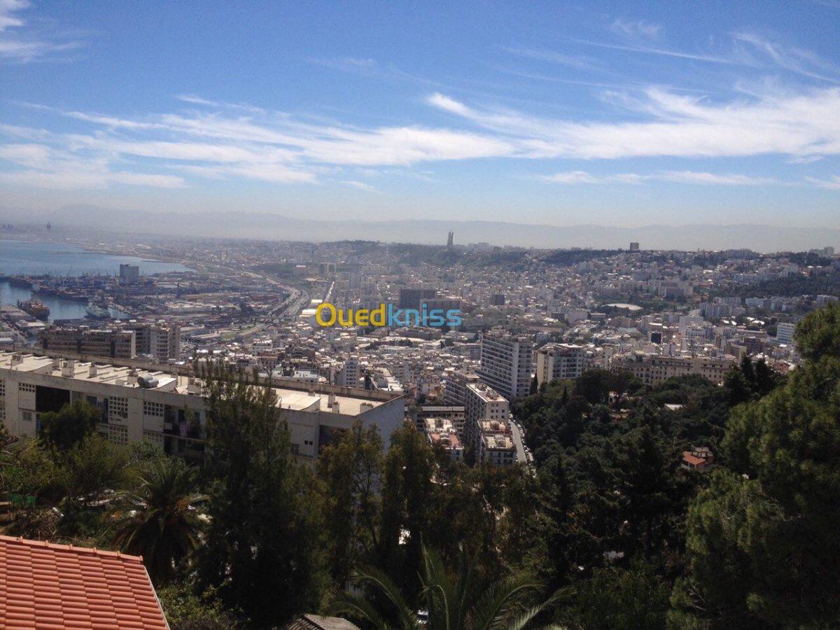 Location Appartement F3 Alger El biar