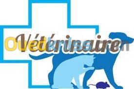 docteur veterinaire