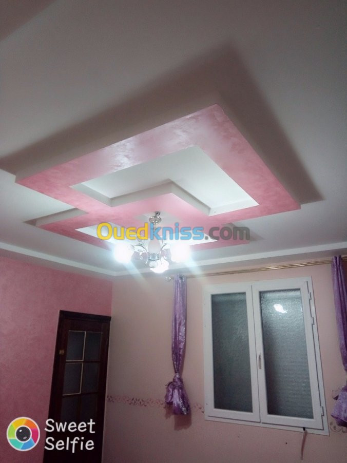 Faux plafond pvc / placo