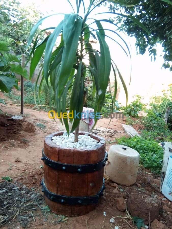 Pots de fleurs en faux bois