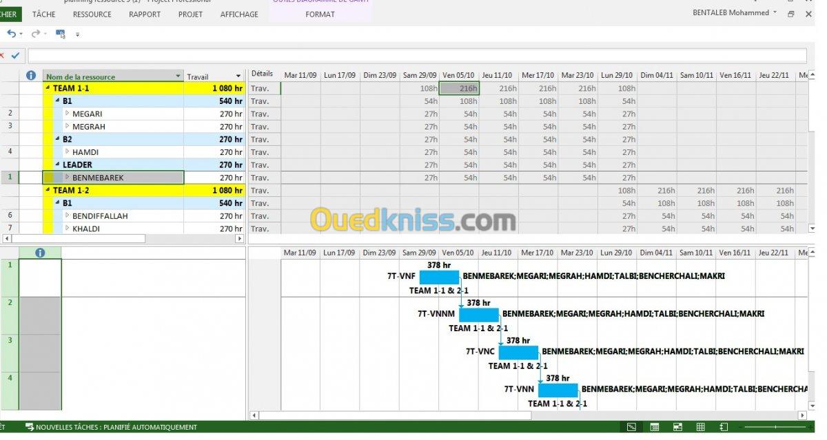 FORMATION MS PROJECT