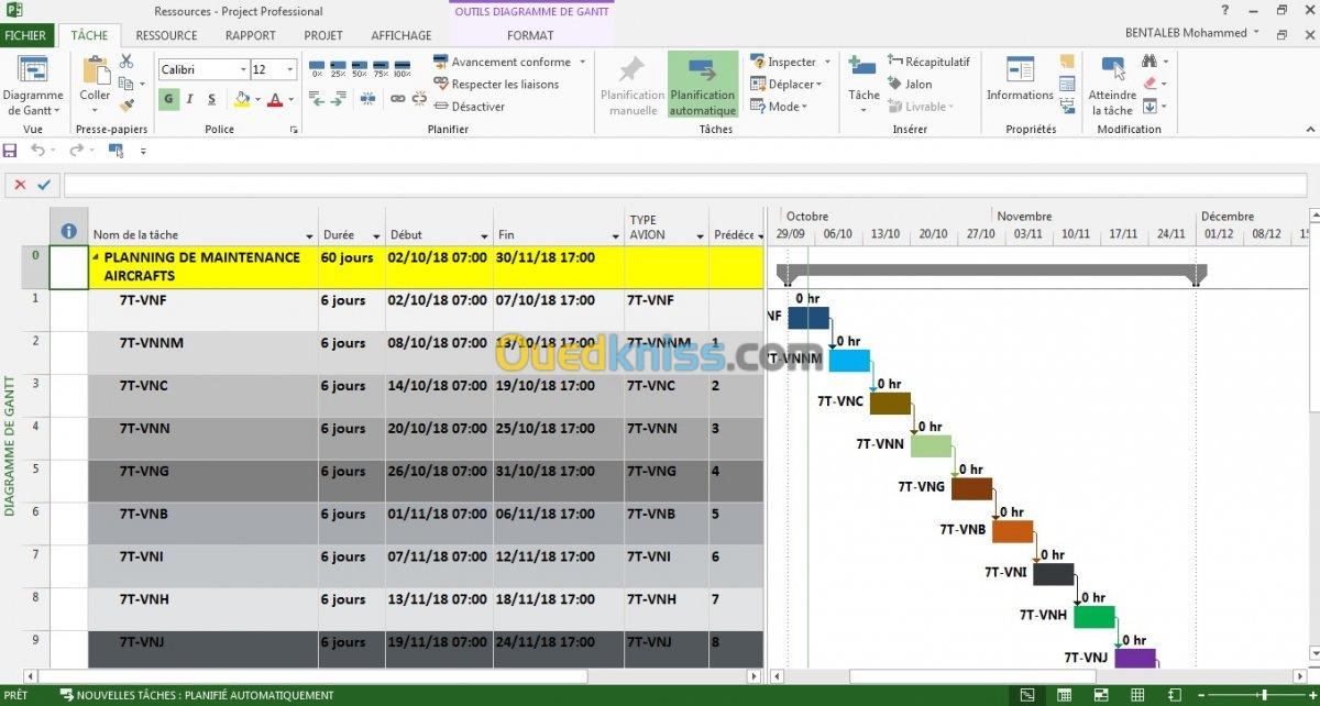 FORMATION MS PROJECT