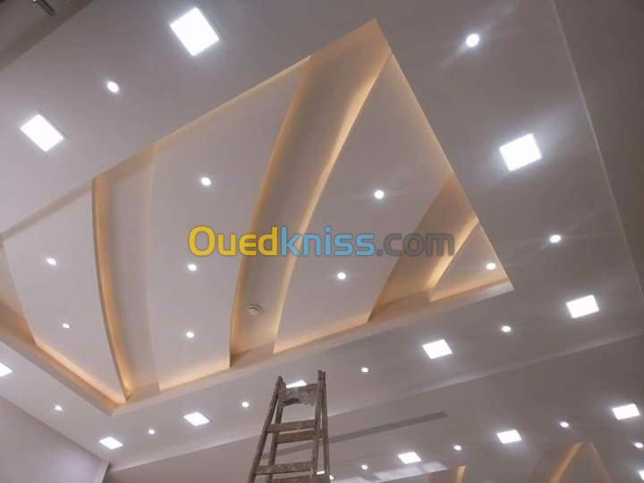 faux plafond .ba10et ba13 -pvc