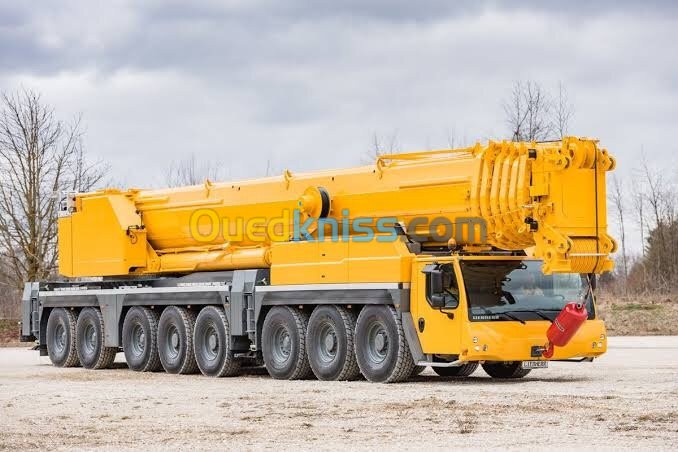 LIEBHERR GRUE LTM