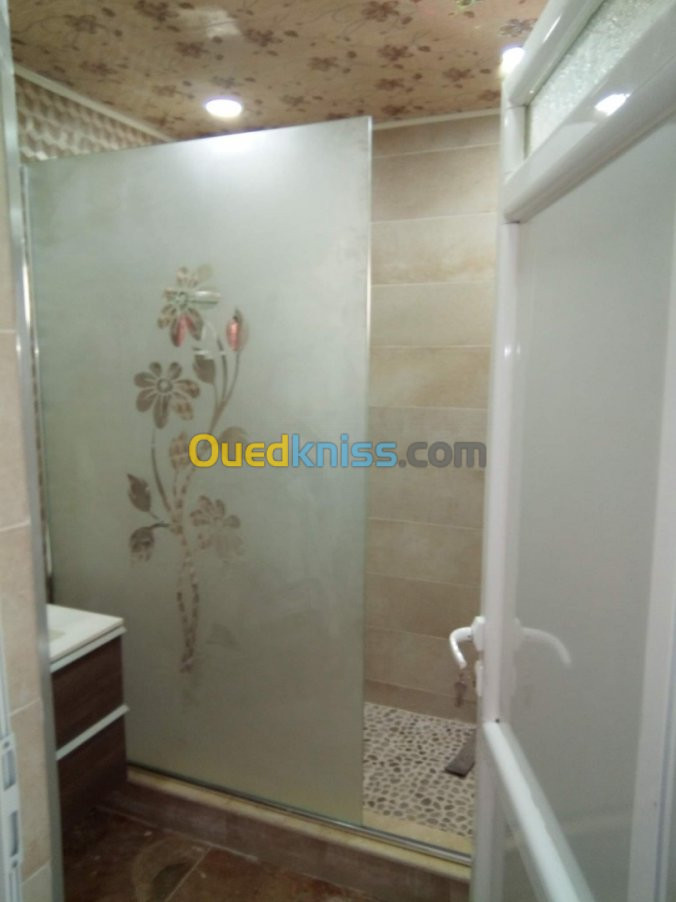 Cabine de douche en verre 