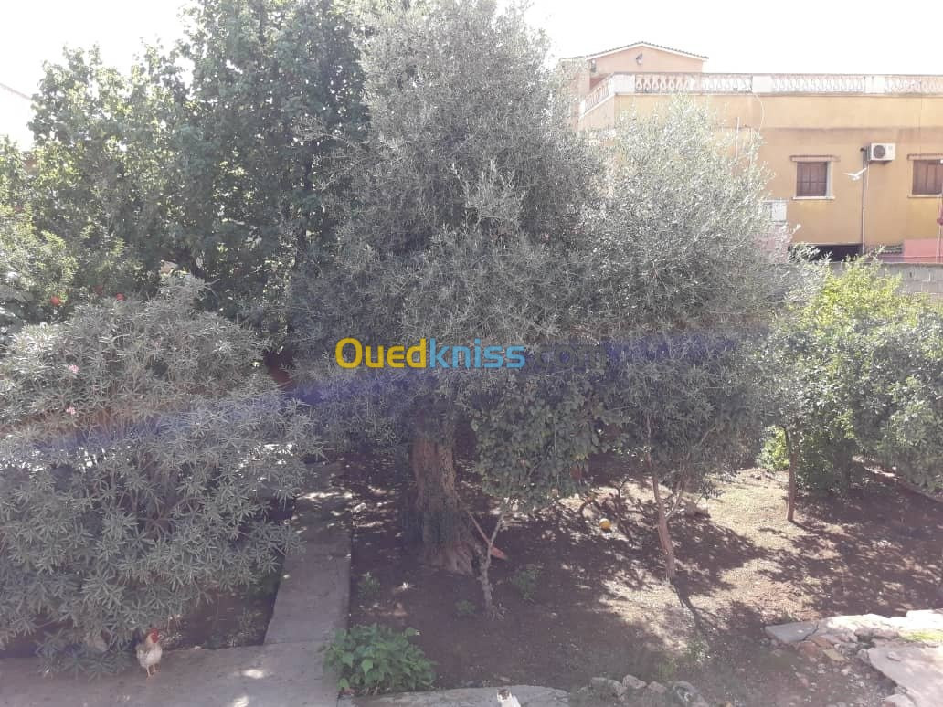 Vente Villa Oran Hassi bounif