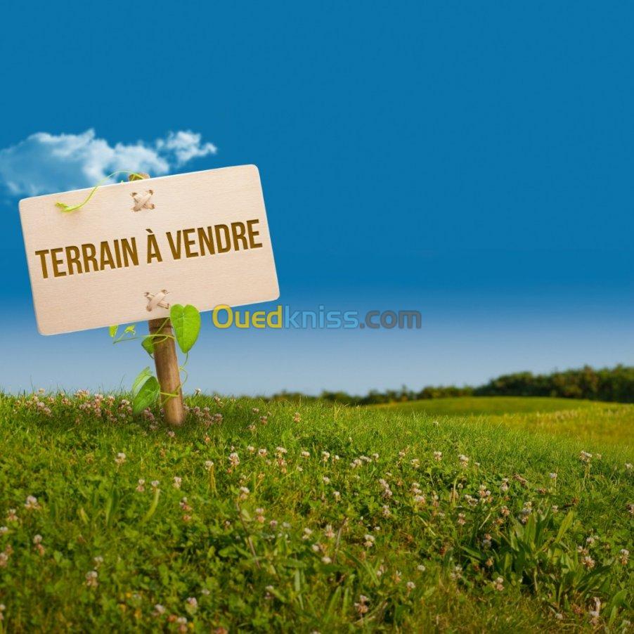 Vente Terrain Tizi ouzou Souamaa