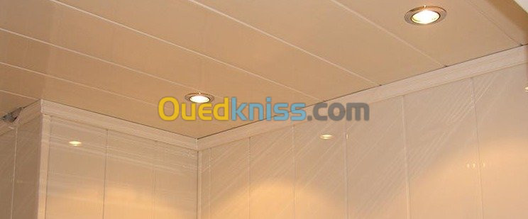 Faux Plafond en placo .pvc .ba13 