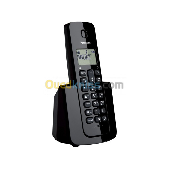 PANASONIC TELEPHONE PANASONIC NUMERIQUE SANS FIL KX-TGB110