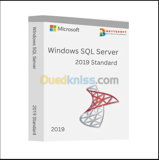 Microsoft SQL Server 2019 Standard Runtime coffret